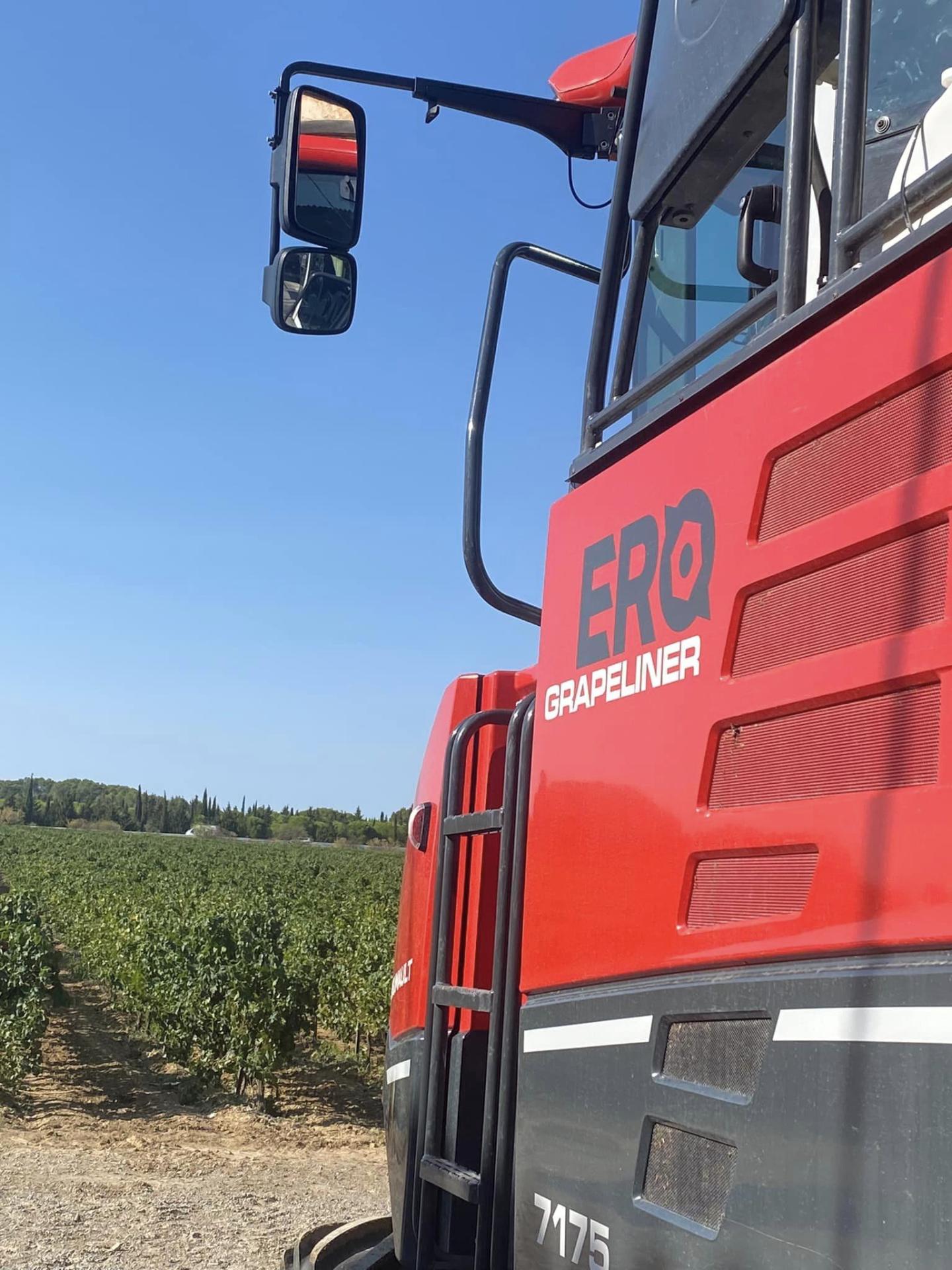 Vendanges en herault